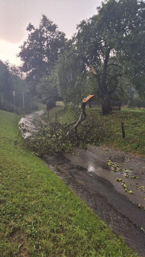 Unwetter Klam (9).jpeg
